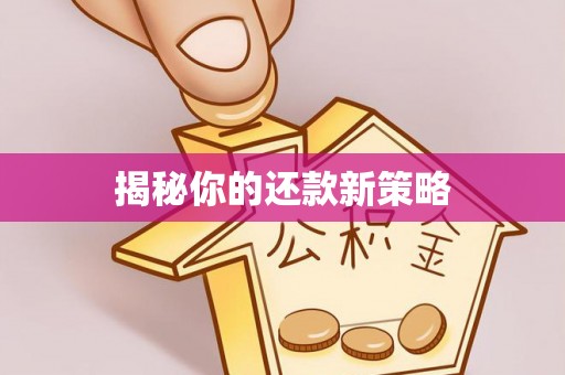 玉田揭秘你的还款新策略