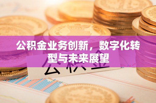 玉田公积金业务创新，数字化转型与未来展望