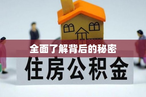 玉田全面了解背后的秘密