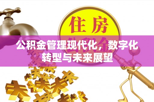 玉田公积金管理现代化，数字化转型与未来展望