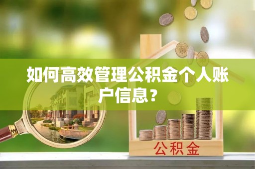 玉田如何高效管理公积金个人账户信息？