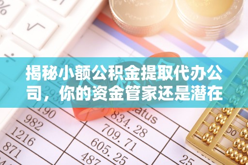 玉田揭秘小额公积金提取代办公司，你的资金管家还是潜在风险？