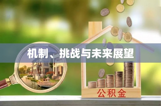 玉田机制、挑战与未来展望
