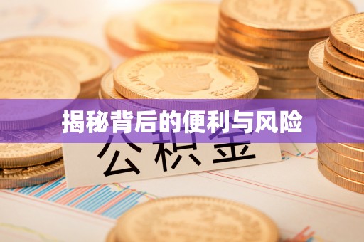 玉田揭秘背后的便利与风险